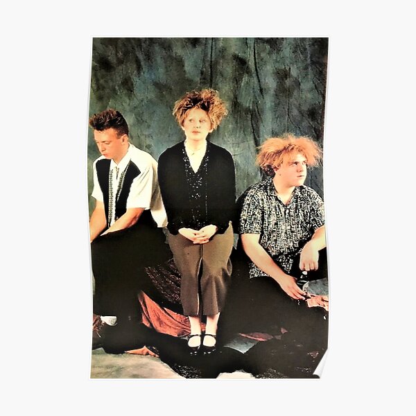 Twins vintage poster Poster