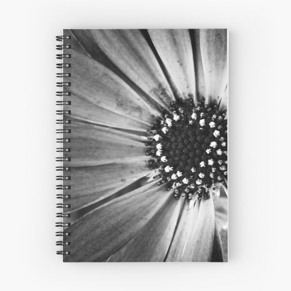 Item preview, monochrome daisy designed and sold by Ann Biddlecombe.