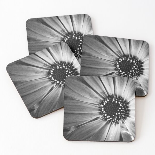 Item preview, monochrome daisy designed and sold by Ann Biddlecombe.