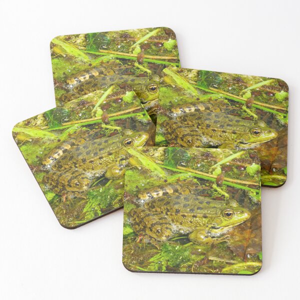 Item preview, Common green frog designed and sold by Ann Biddlecombe.