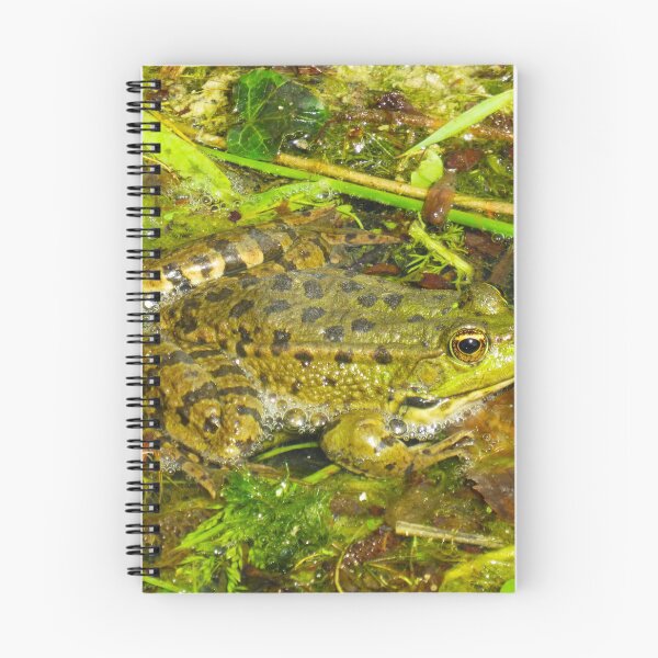 Item preview, Common green frog designed and sold by Ann Biddlecombe.