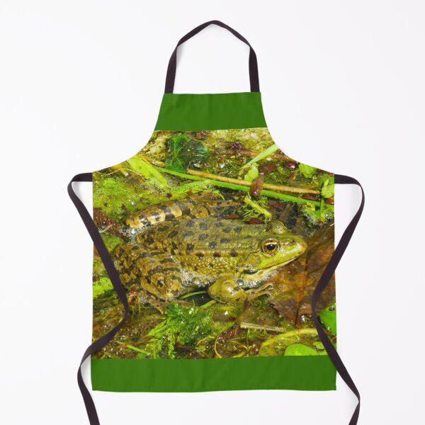 Item preview, Common green frog designed and sold by Ann Biddlecombe.