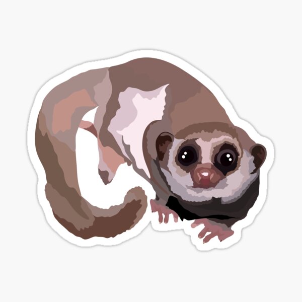 Regalos Y Productos Rat C3 n Lemur Redbubble