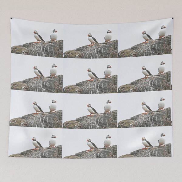 Item preview, Puffins - Farne Islands designed and sold by Graham Geldard Photography.