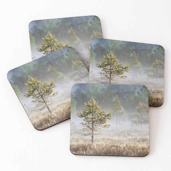 Item preview, 5.6.2021: Pine Tree at Marsh designed and sold by Petri Volanen.
