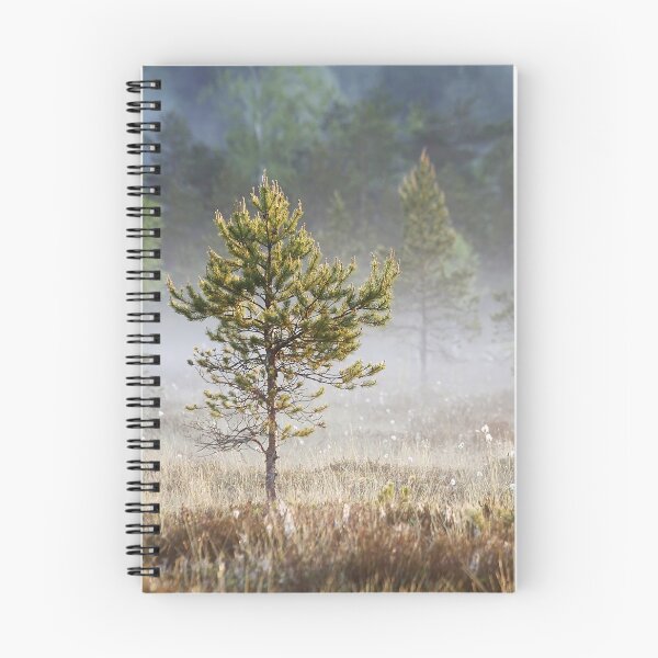 Item preview, 5.6.2021: Pine Tree at Marsh designed and sold by Petri Volanen.