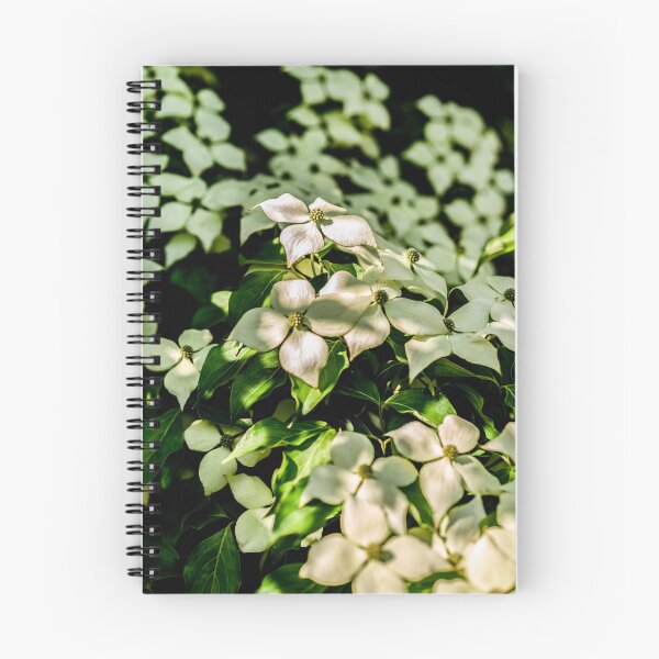 Item preview, Kousa Dogwood Blossoms designed and sold by Erica Dean Lamb.