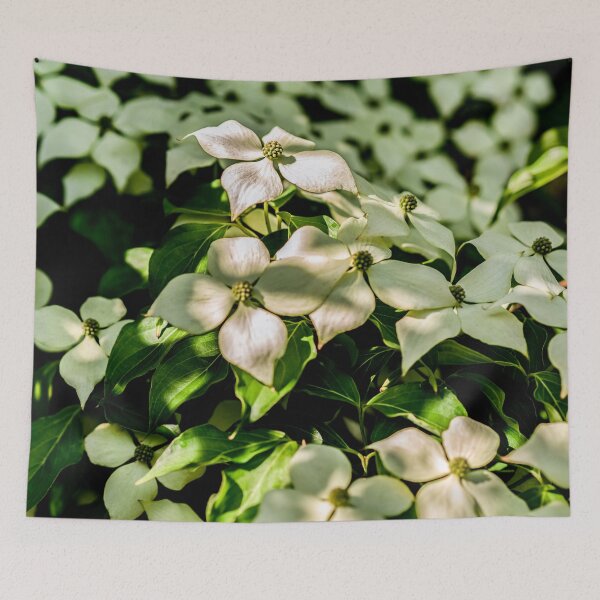 Item preview, Kousa Dogwood Blossoms designed and sold by Erica Dean Lamb.