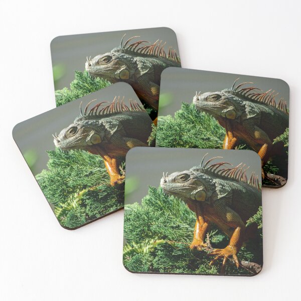 Item preview, Majestic Iguana designed and sold by Erica Dean Lamb.