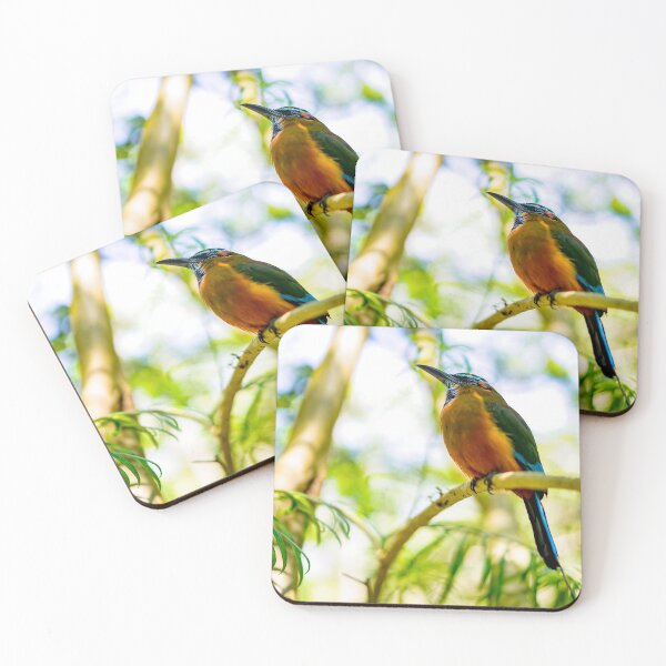 Item preview, Toh Bird of Mexico designed and sold by Erica Dean Lamb.