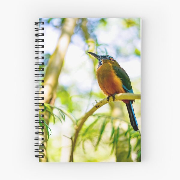 Item preview, Toh Bird of Mexico designed and sold by Erica Dean Lamb.
