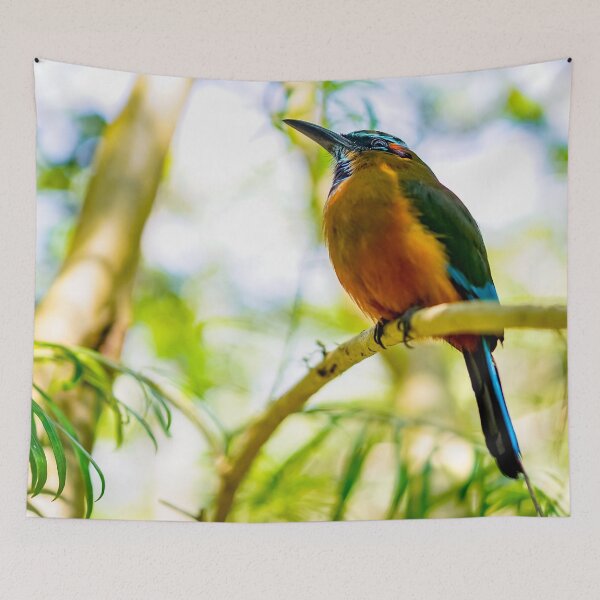 Item preview, Toh Bird de México designed and sold by Erica Dean Lamb.