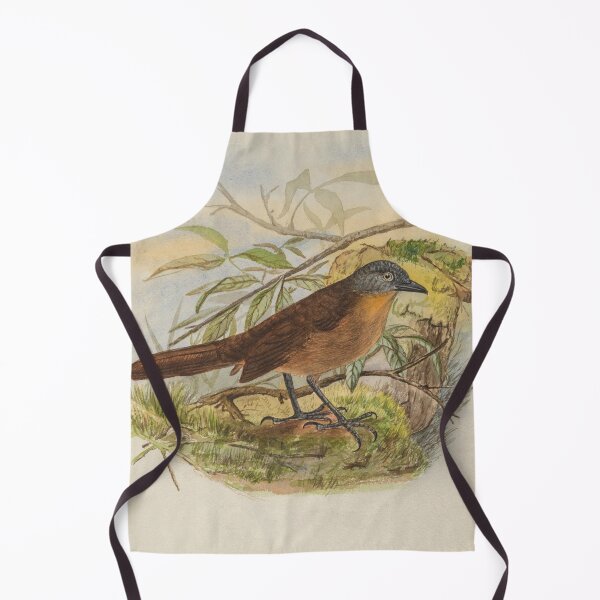 Item preview, Ashy Headed Laughingthrush Painting designed and sold by laguitan10.