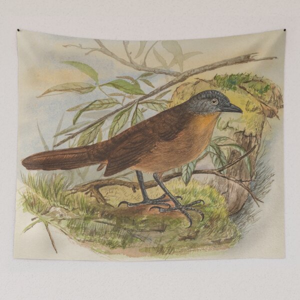 Item preview, Ashy Headed Laughingthrush Painting designed and sold by laguitan10.