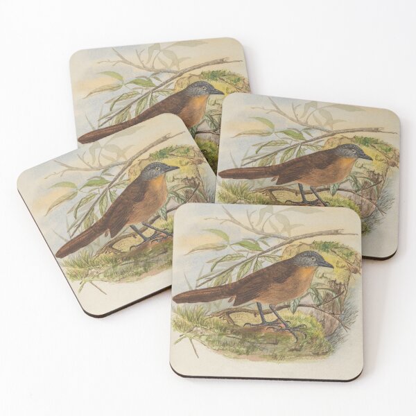 Item preview, Ashy Headed Laughingthrush Painting designed and sold by laguitan10.