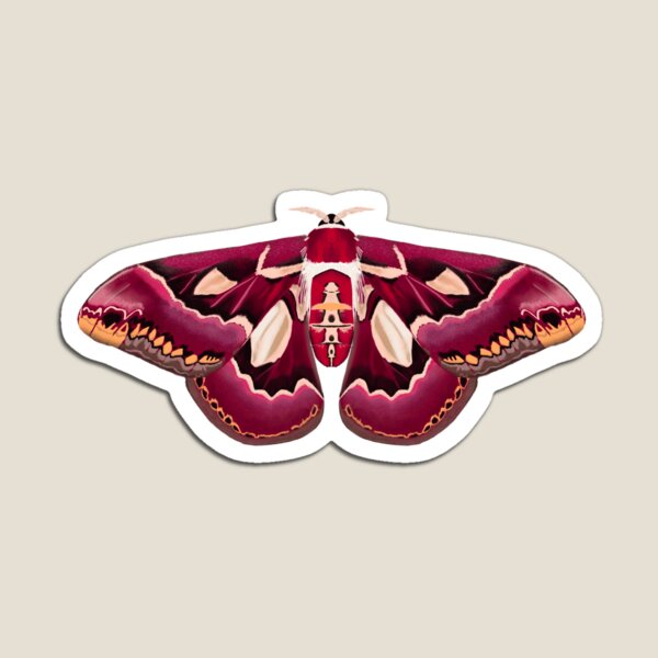 Item preview, Pink red moth designed and sold by Isabelle-T.