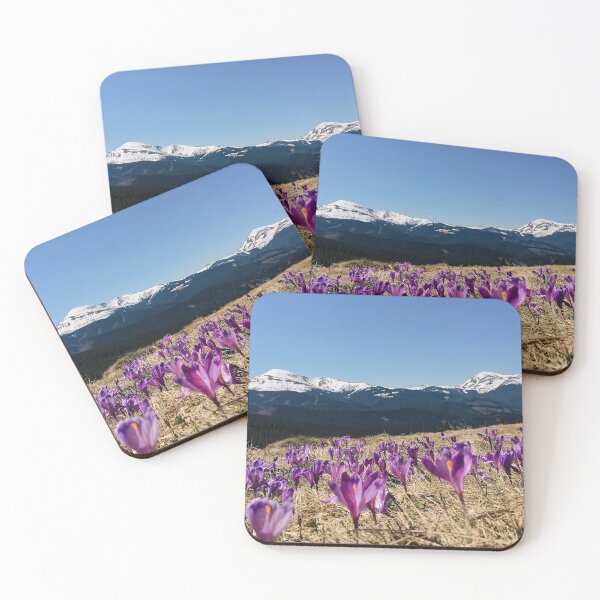 Item preview, purple saffron flowers with Snowy mountain peaks on the background. beautiful spring nature scenery. designed and sold by ExploreYK.