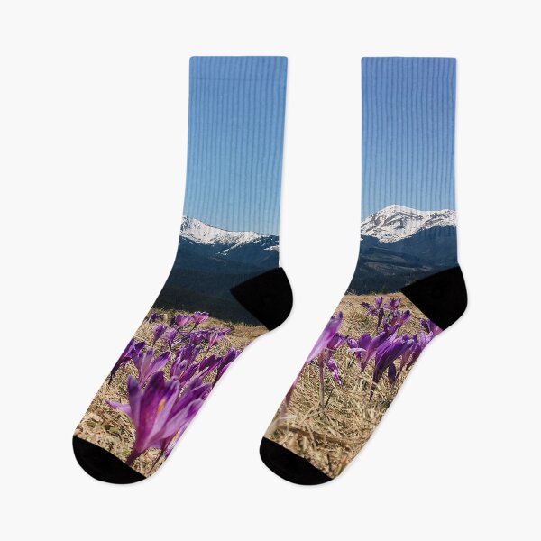 Item preview, purple saffron flowers with Snowy mountain peaks on the background. beautiful spring nature scenery. designed and sold by ExploreYK.