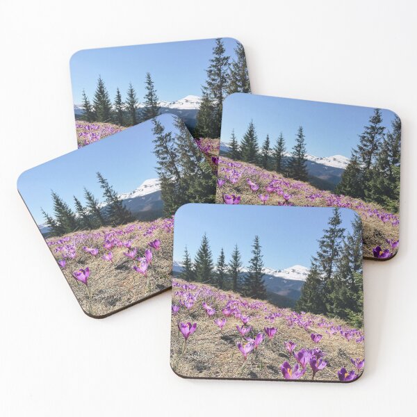 Item preview, purple saffron flowers with Snowy mountain peaks on the background. beautiful spring nature scenery. designed and sold by ExploreYK.