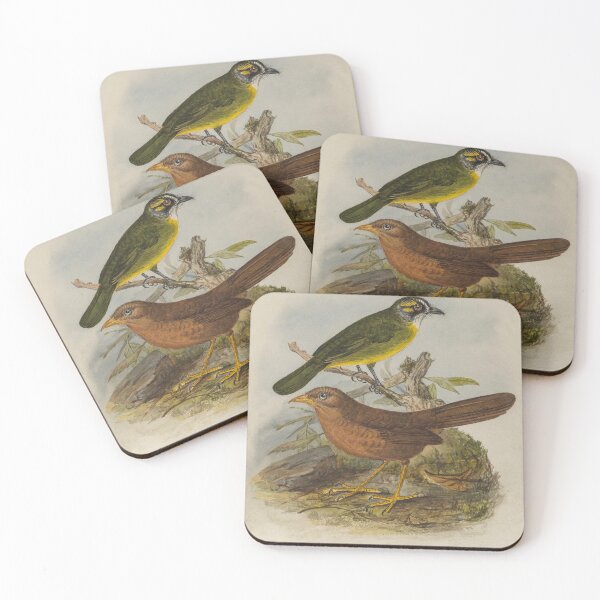 Item preview, Yellow Eared Bulbul Painting designed and sold by laguitan10.