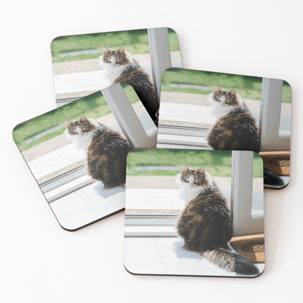 Item preview, Sweet Cat | Animal, Kitten designed and sold by QShore.