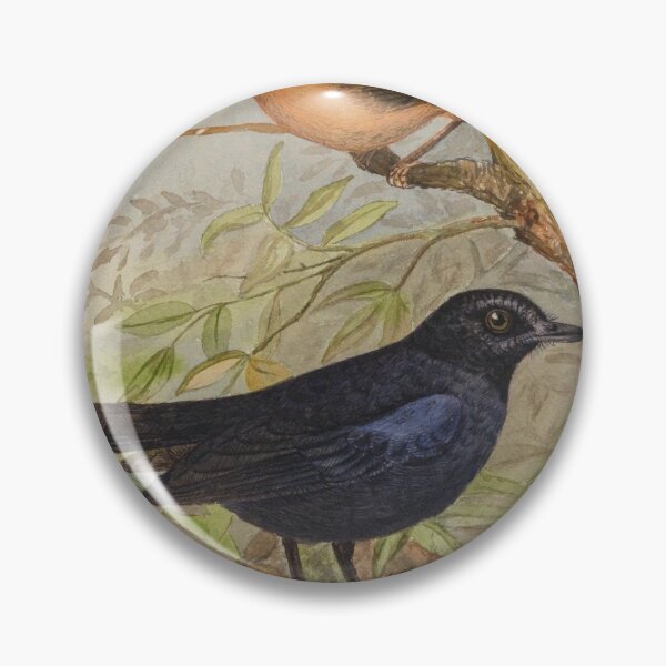 Item preview, Whistling Thrush And Brown Babbler designed and sold by laguitan10.