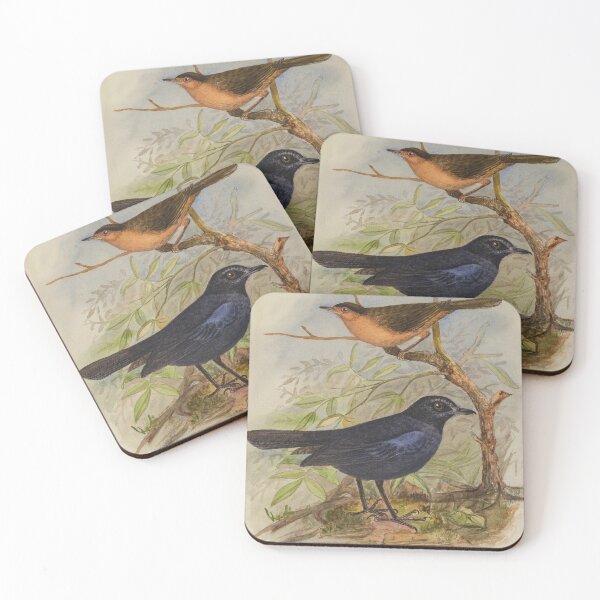 Item preview, Whistling Thrush And Brown Babbler designed and sold by laguitan10.