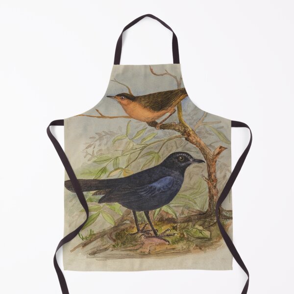 Item preview, Whistling Thrush And Brown Babbler designed and sold by laguitan10.