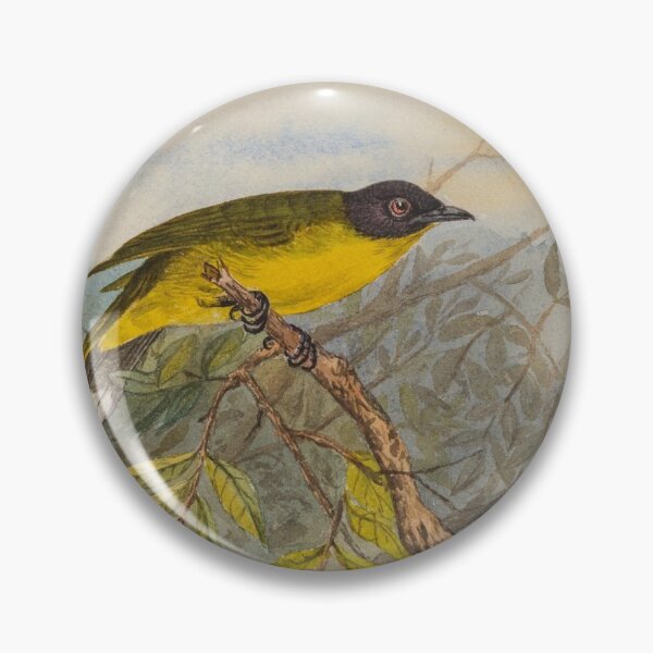 Item preview, Black Capped Bulbul On A Branch designed and sold by laguitan10.