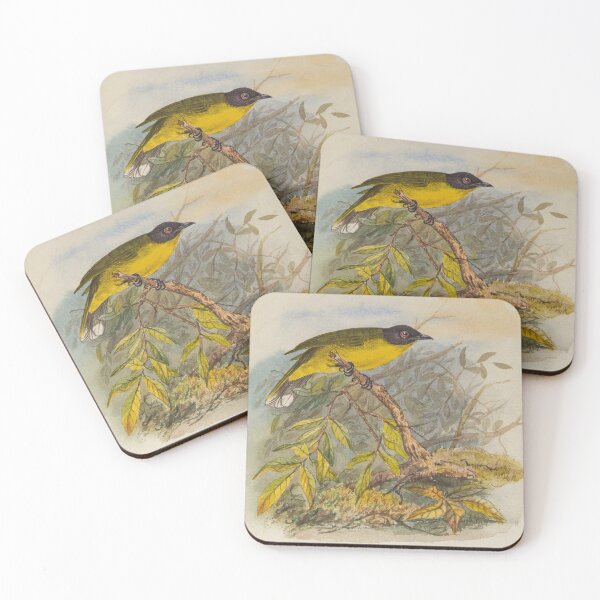 Item preview, Black Capped Bulbul On A Branch designed and sold by laguitan10.