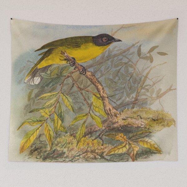 Item preview, Black Capped Bulbul On A Branch designed and sold by laguitan10.