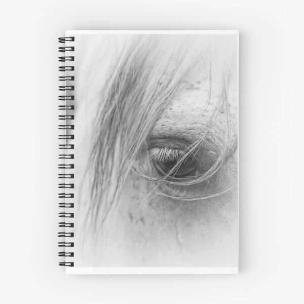 Item preview, The longing of the white horse designed and sold by Ingo Gerlach.