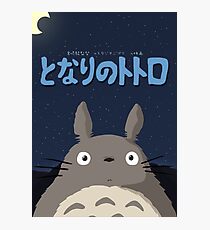 My Neighbor Totoro Photographic Print