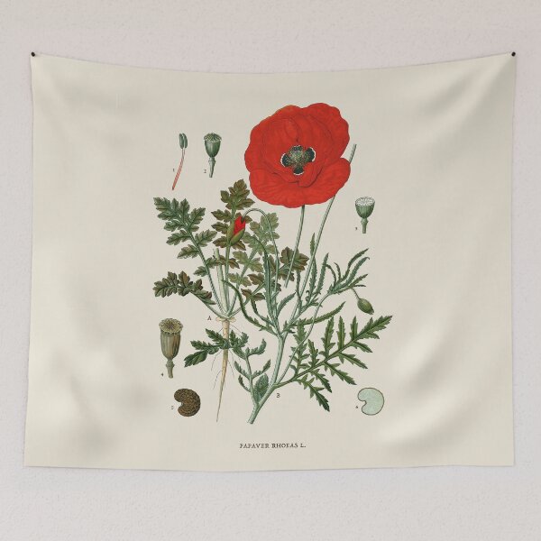 Item preview, Field Poppy Antique Botanical Illustration designed and sold by Antiquated Art.
