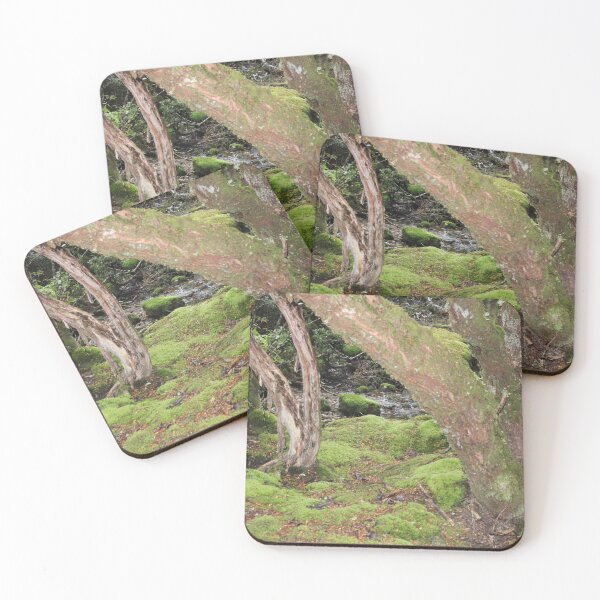 Item preview, Rainforest oasis designed and sold by rsawry.
