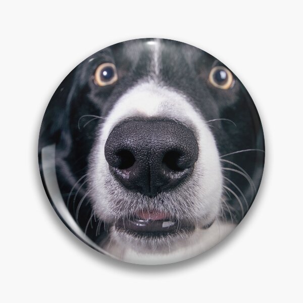 Item preview, Man's Best Friend designed and sold by AnnoyedMouse.