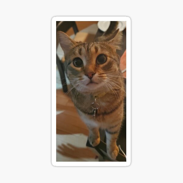 Item preview, Masha the cat designed and sold by LaMartineMartin.
