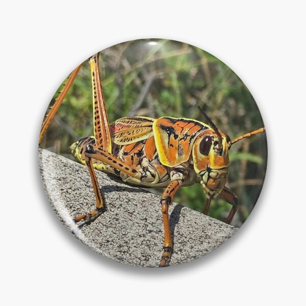 Item preview, Don't Bug Me designed and sold by Lynney.
