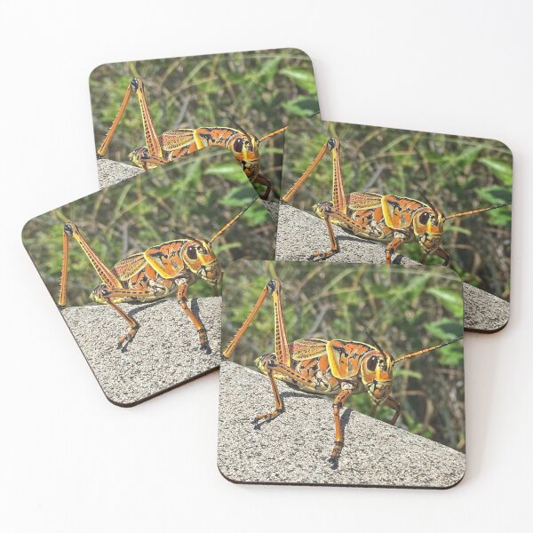 Item preview, Don't Bug Me designed and sold by Lynney.