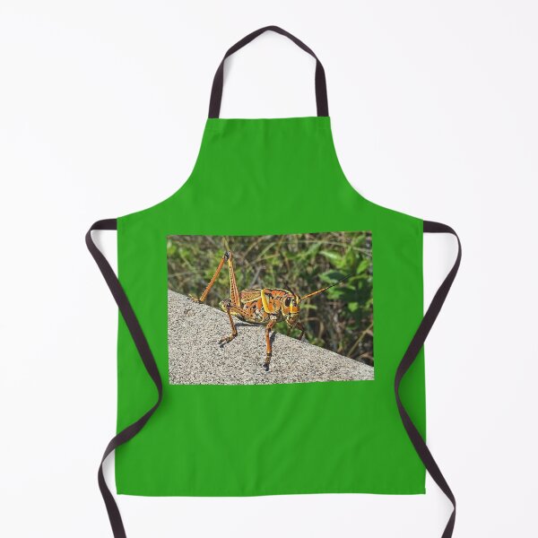Item preview, Don't Bug Me designed and sold by Lynney.