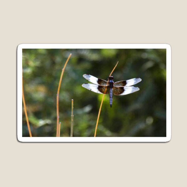 Item preview, Widow Skimmer on a stick  designed and sold by Ruth Jolly.