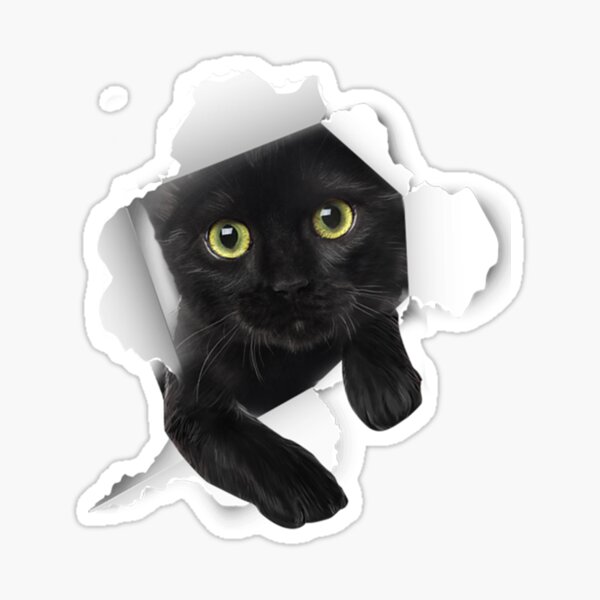 Item preview, Black Cat Torn  designed and sold by WeAreUSA.