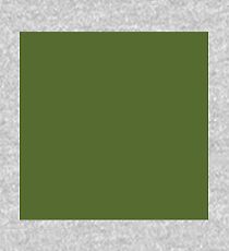color dark olive green Kids Pullover Hoodie