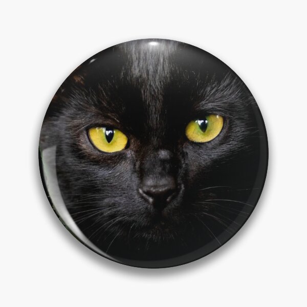 Aperçu de l'œuvre CHAT NOIR AUX YEUX JAUNES créée et vendue par Danicus666.