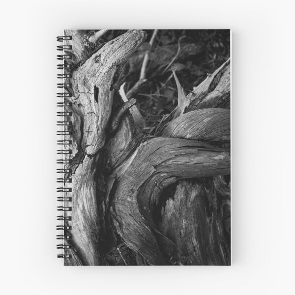 Item preview, Door County Driftwood designed and sold by Nathan Pipkorn.