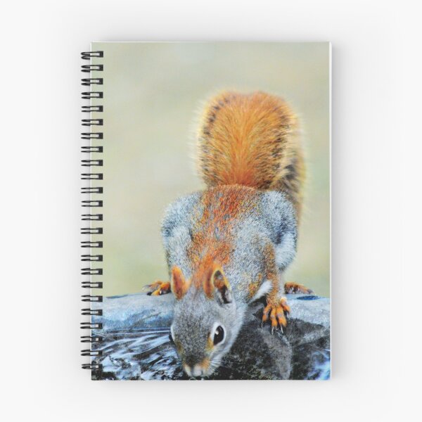 Item preview, Thirsty Red Squirrel designed and sold by Laurie Minor.