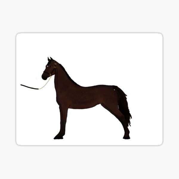 Aperçu de l'œuvre Cheval Morgan Sticker créée et vendue par dansleftelbow.