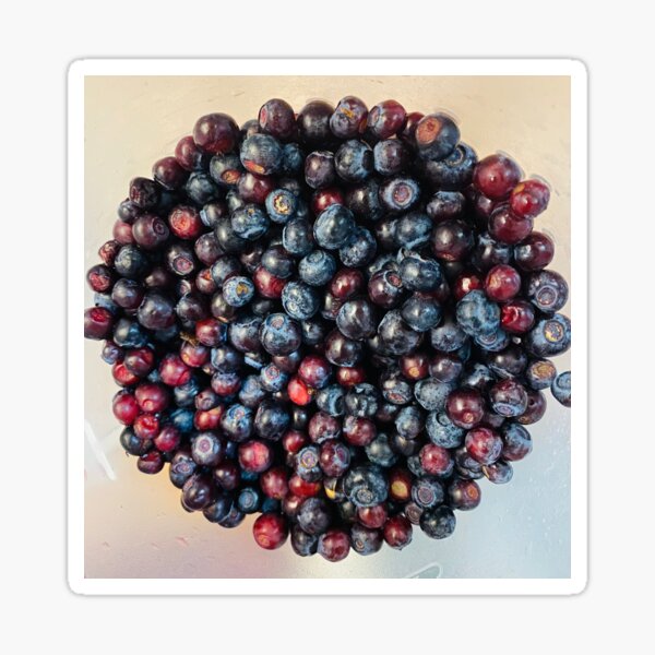 Huckleberry Harvest Sticker