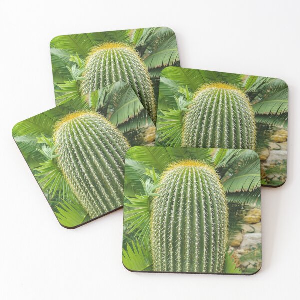 Item preview, Cactus designed and sold by Tim Paulawitz.