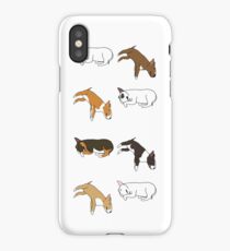 Lazy Bull Terrier - White iPhone Case/Skin